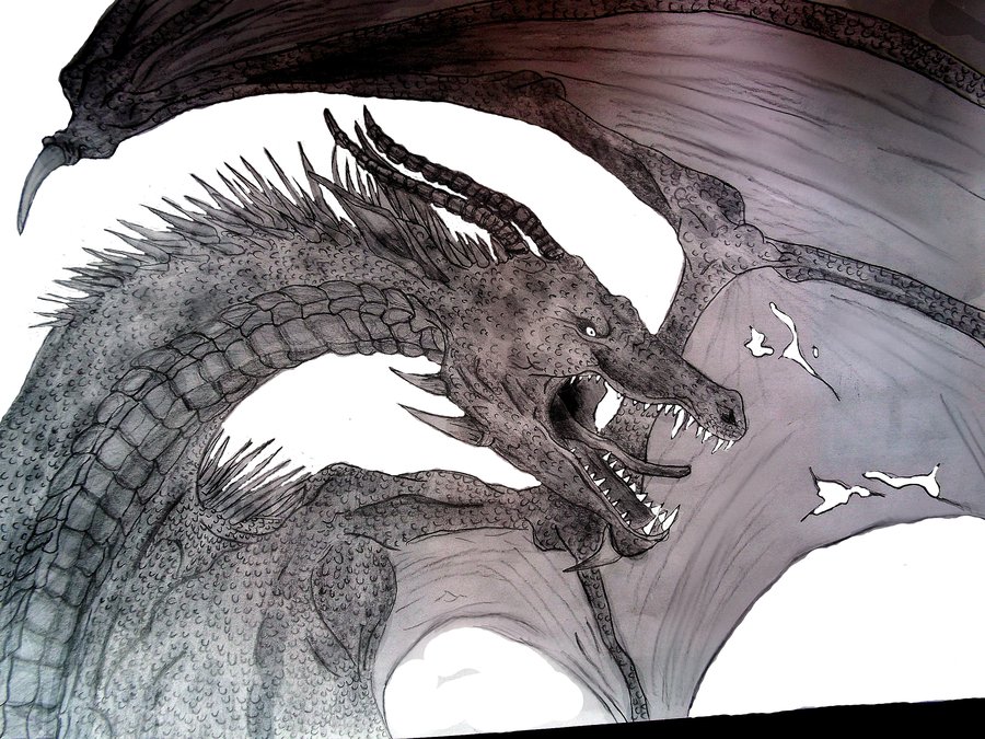 900x675 Dragon Pen And Pencil Drawing By Kaikoura