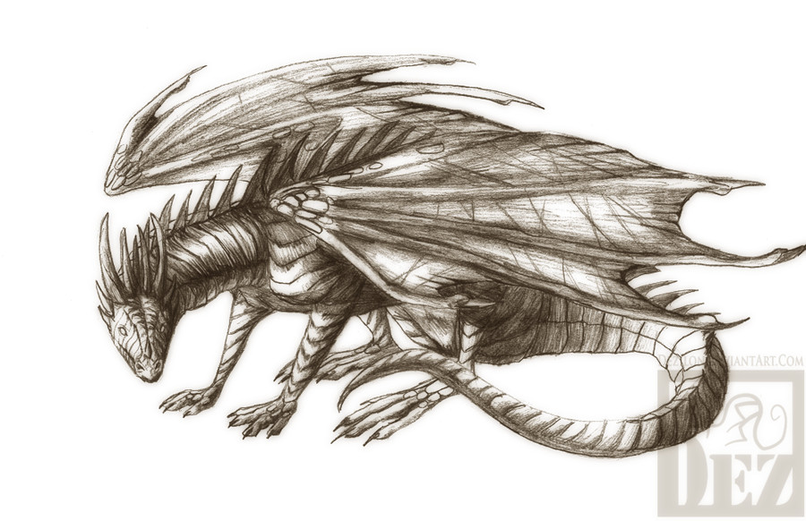 900x582 Pencil Dragon By Dezilon