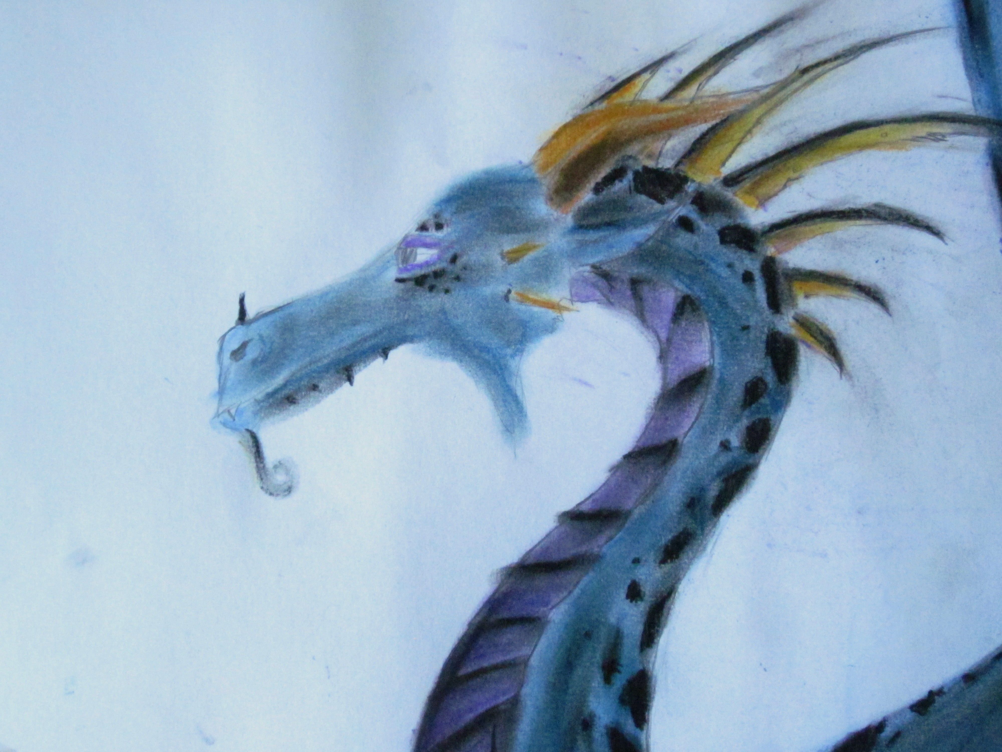 4000x3000 Dragon Drawing Ella