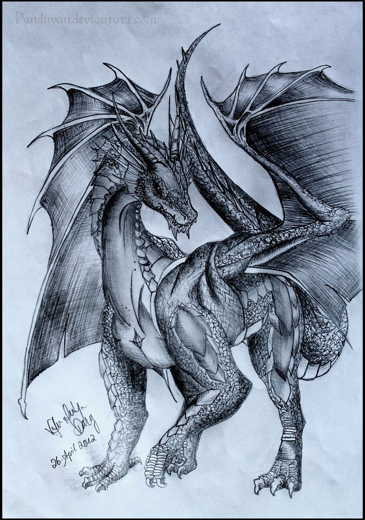 749x1066 Female Dragon. By Pandiivan