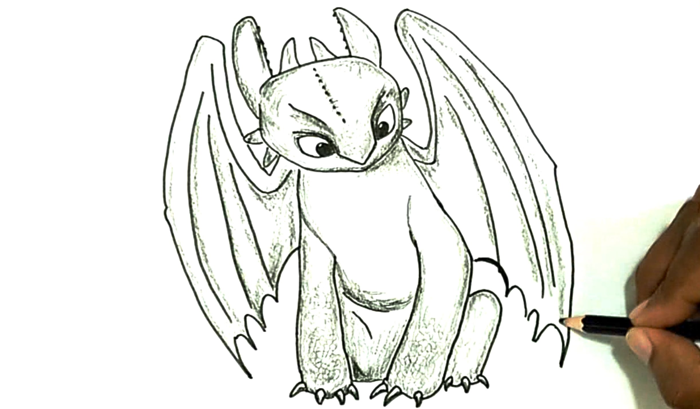 2446x1432 How To Train A Dragon Drawing