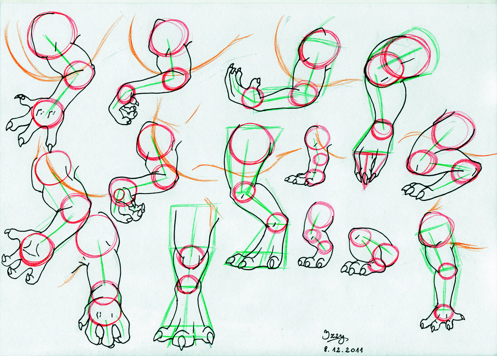 1024x734 Dragon Legs And Arms Tutorial By Natsuakai