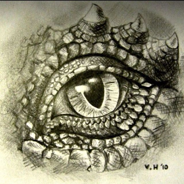 640x640 Graphite Pencil Drawing Dragon's Eye. While Many Adolescent Girls