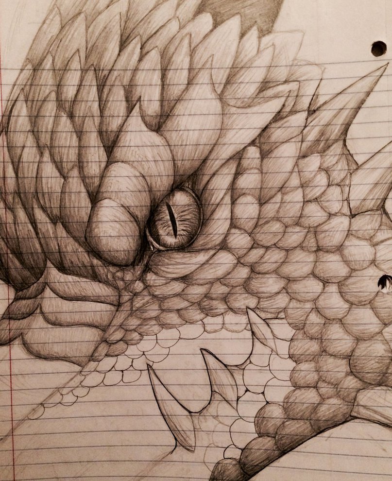 807x990 Dragon Face Sketch By Minakowolf37