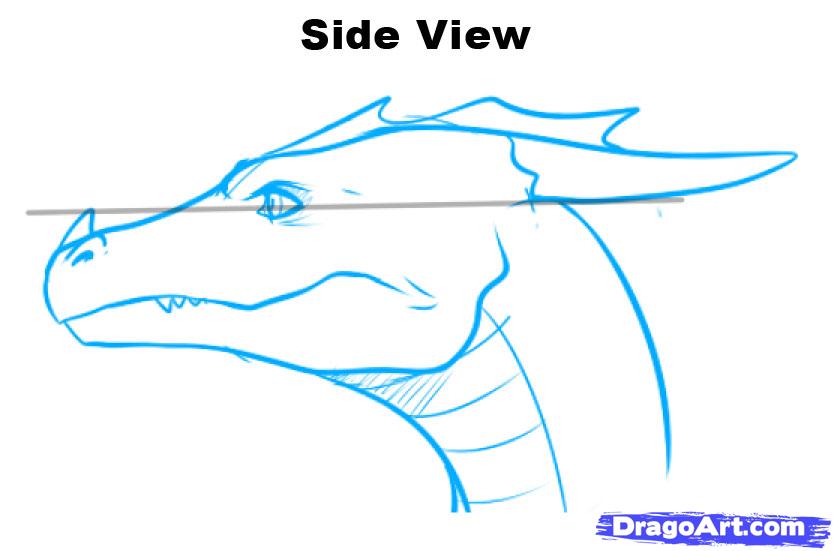 833x551 Dragon Head
