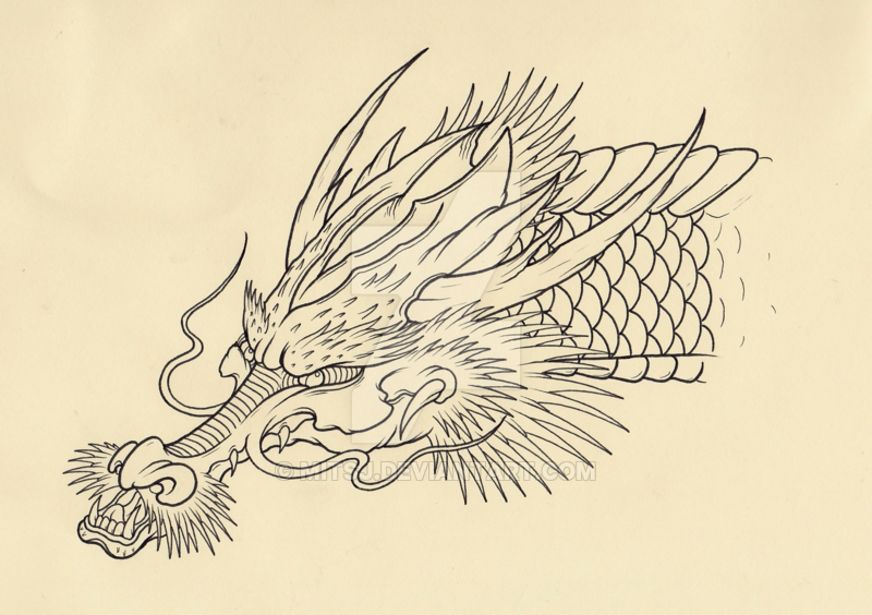 800x564 Japanese Dragon Head By Mitsj
