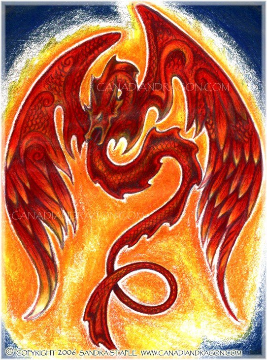 542x731 Canadian Dragon Fantasy Art Original Dragon Phoenix Drawing