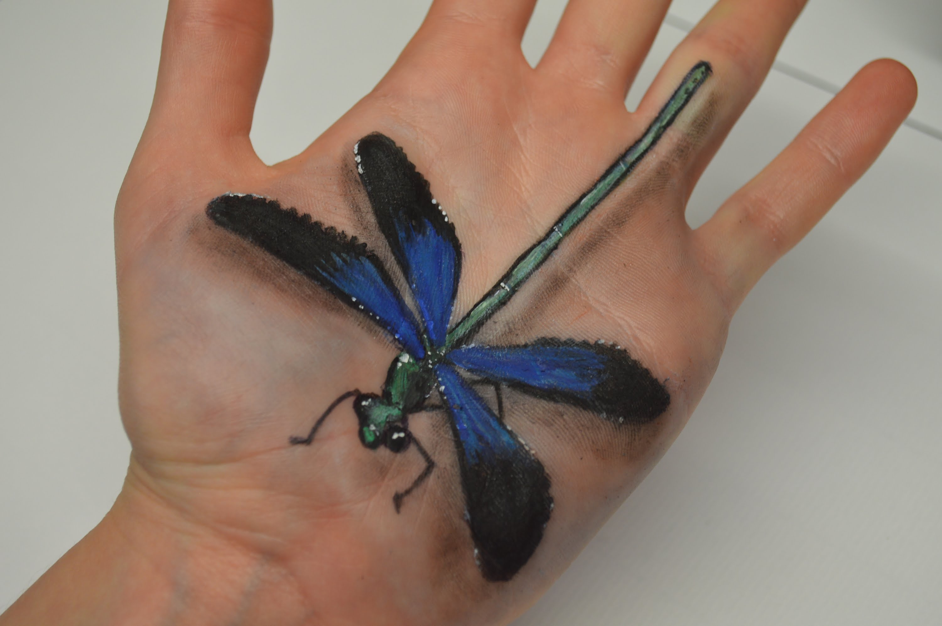 3000x1995 Hand Art 3d Dragonfly Drawing