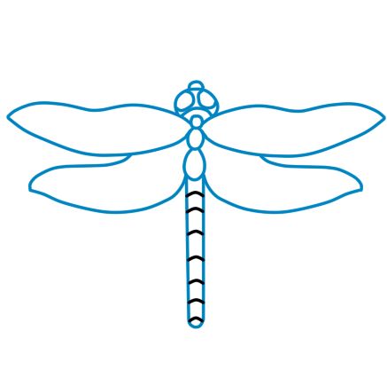 437x426 How To Draw A Dragonfly 11 Steps