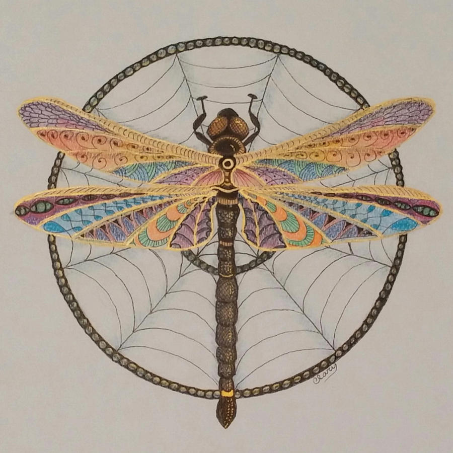 900x900 Image Result For Dragonfly Drawings Dragonfly Draw