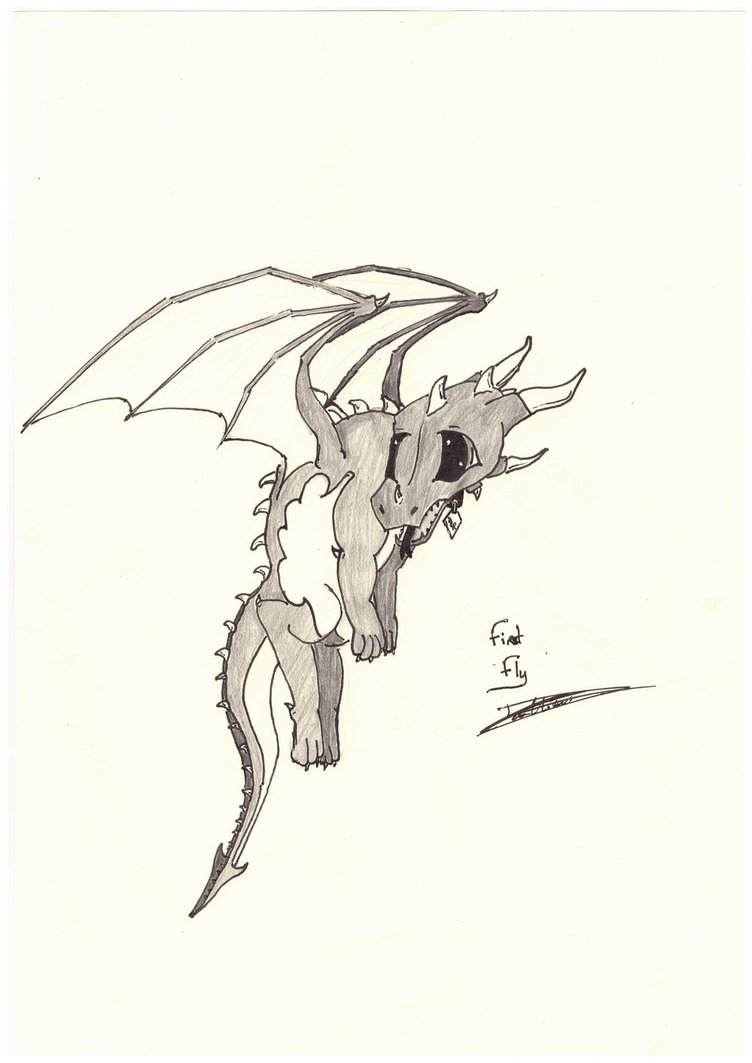 752x1063 Baby Dragon First Fly By Dedelerital
