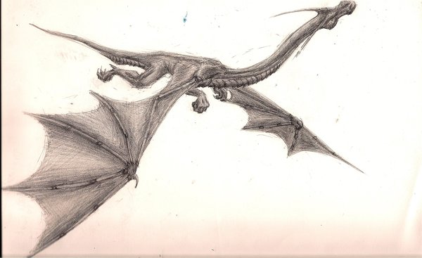 600x367 Flying Dragon By Mirax3163