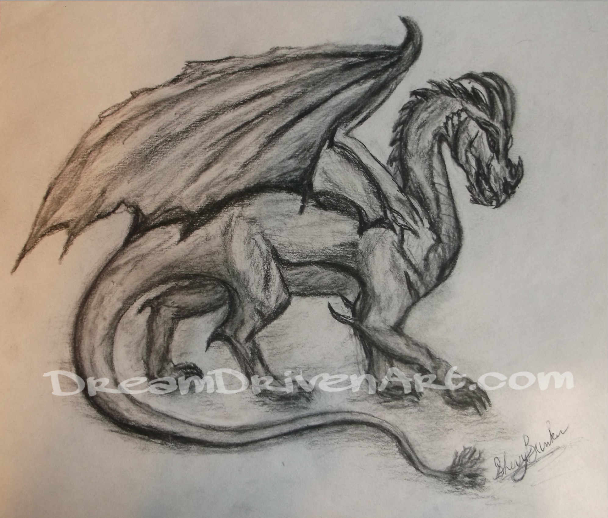 1994x1699 Charcoal Dragon Drawing