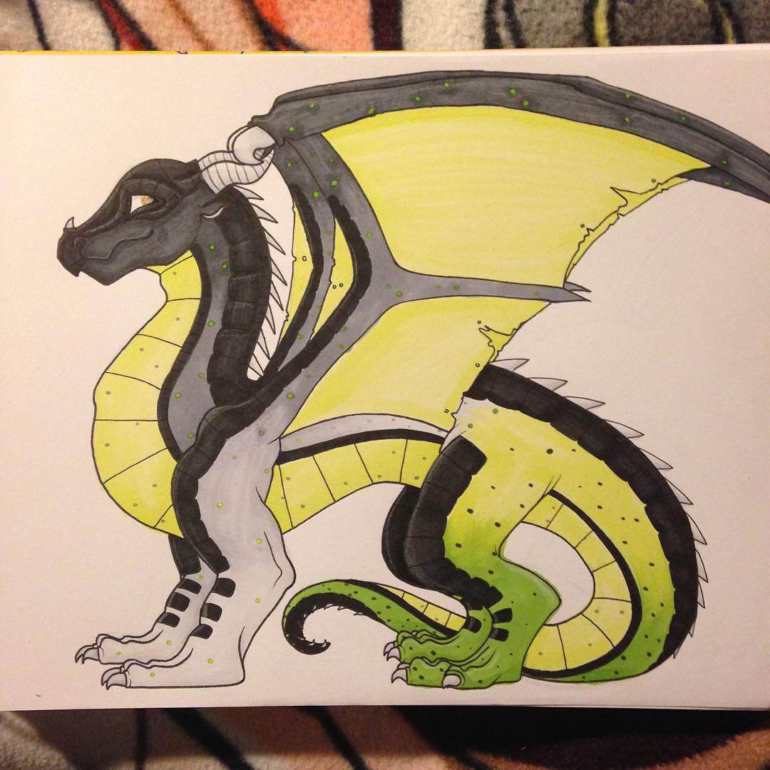 1080x1080 Realistic Dragon Drawings Design Trends