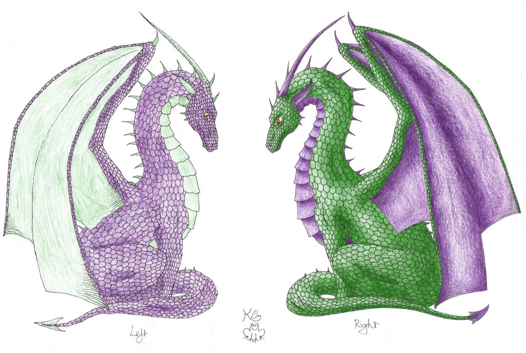 1024x688 Left Hand Dragon Colour By Scellanis