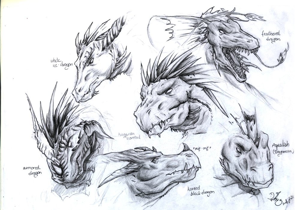 1024x699 Dragon Head Designs By Dragonlizzard