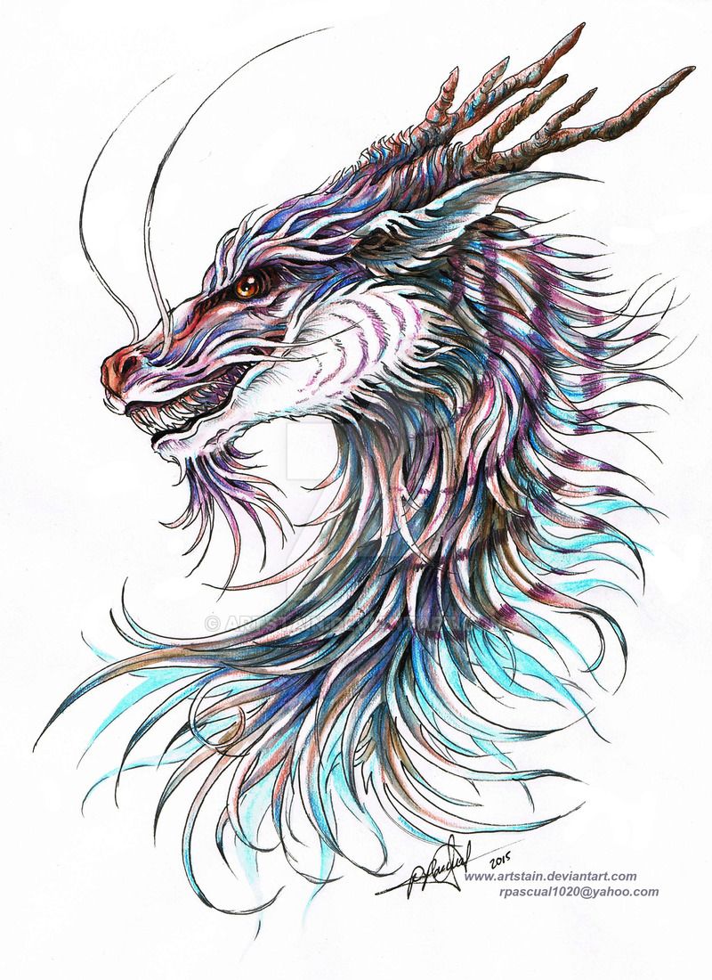 800x1100 Sky Dragon's Head By On @