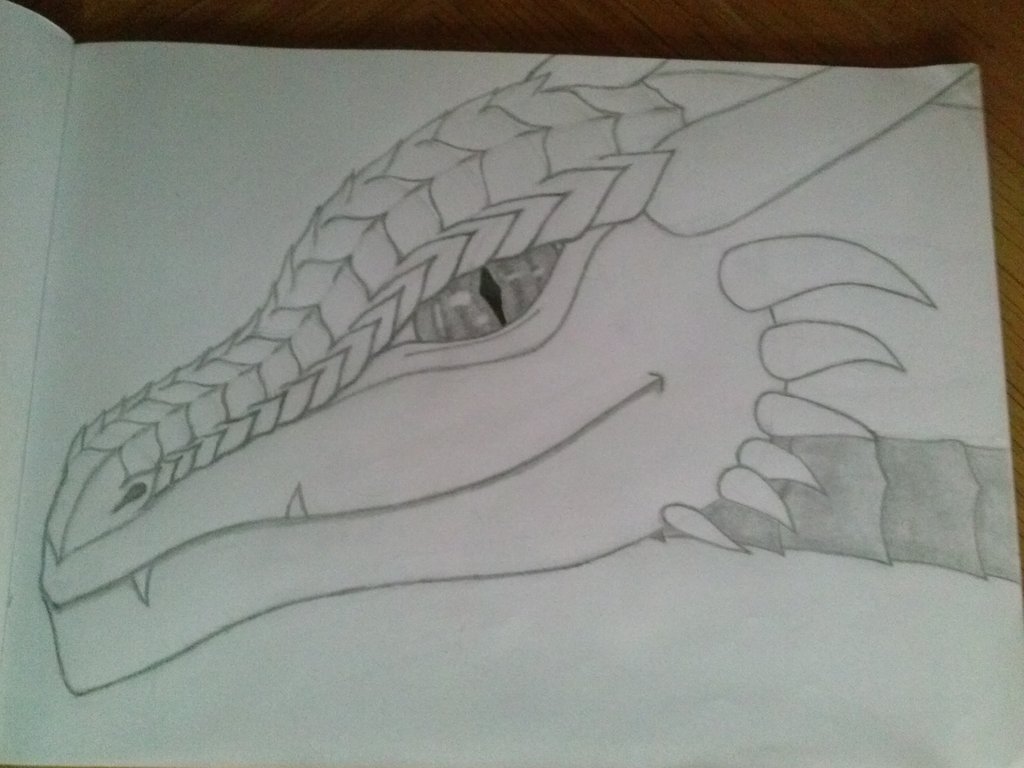 1024x768 Unfinished Dragon Head Drawing By Verskaizi