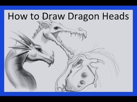 480x360 How To Draw Dragon Heads Side View