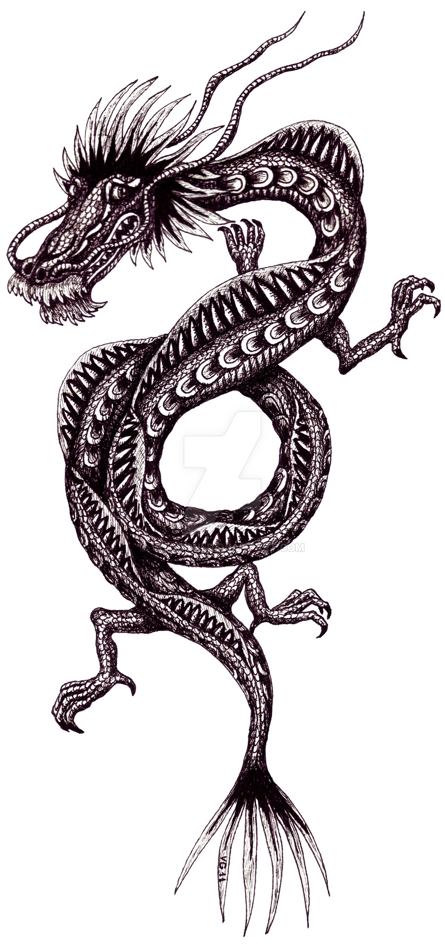 900x1915 Chinese Dragon Black And White Pen Ink Drawing By Vitogoni
