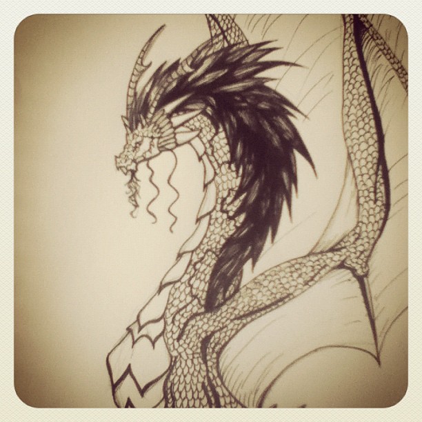 612x612 Dragon Ink Drawing