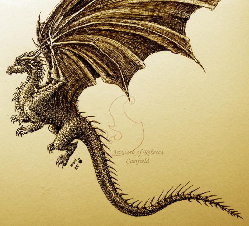 800x726 Pictures Ink Drawings Dragons,