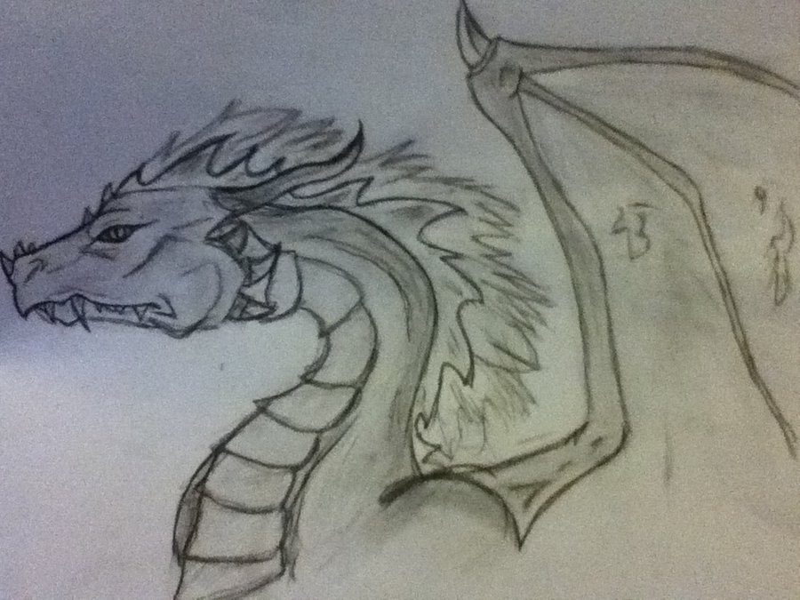 900x675 Dragon Pencil Drawing By Beckyberu
