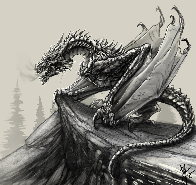 800x752 Dragon Sketch By On @