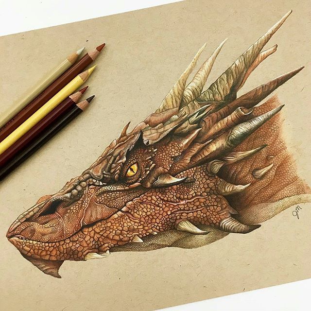 640x640 Intricate Dragon Pencil Drawing Art Dragons