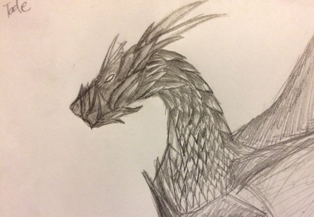 1023x710 Scale Dragon