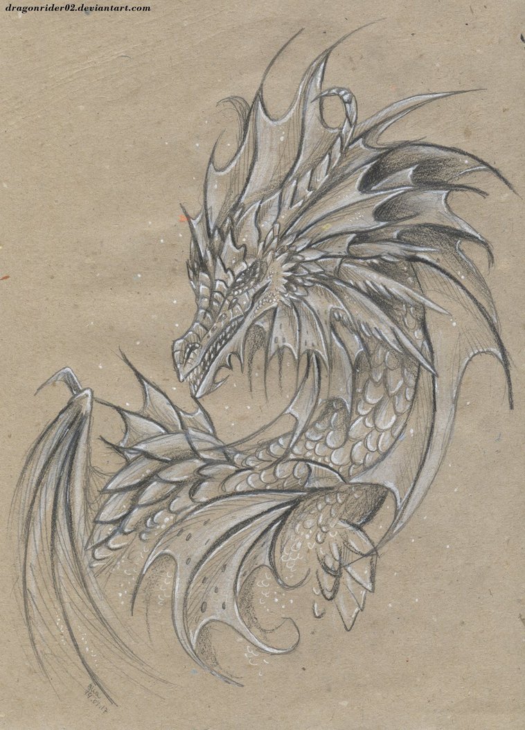 758x1054 Sea Dragon Pencil Drawing By Dragonrider02