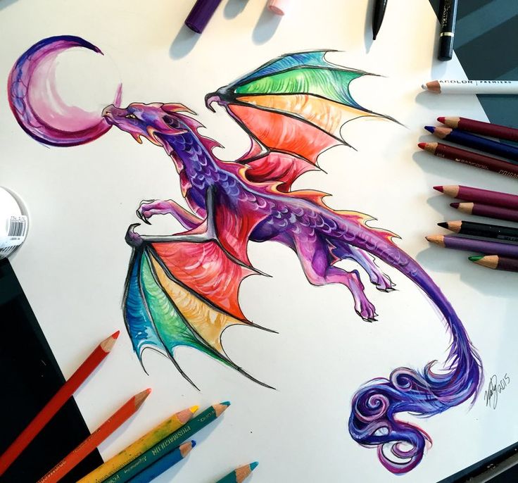 736x686 Colorful Dragon Tattoo Drawing