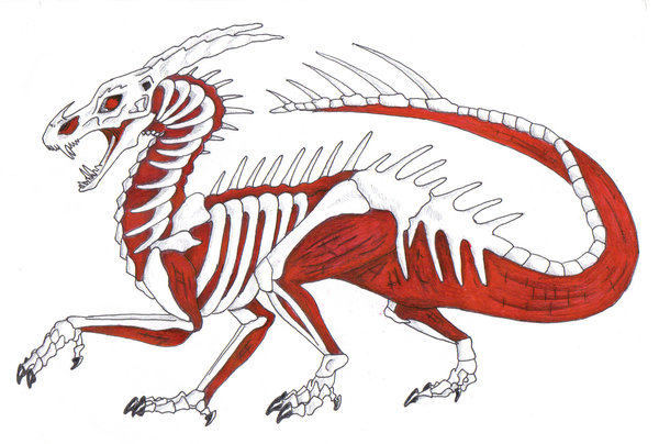600x404 Skeleton Dragon By Shinigamisquirrel