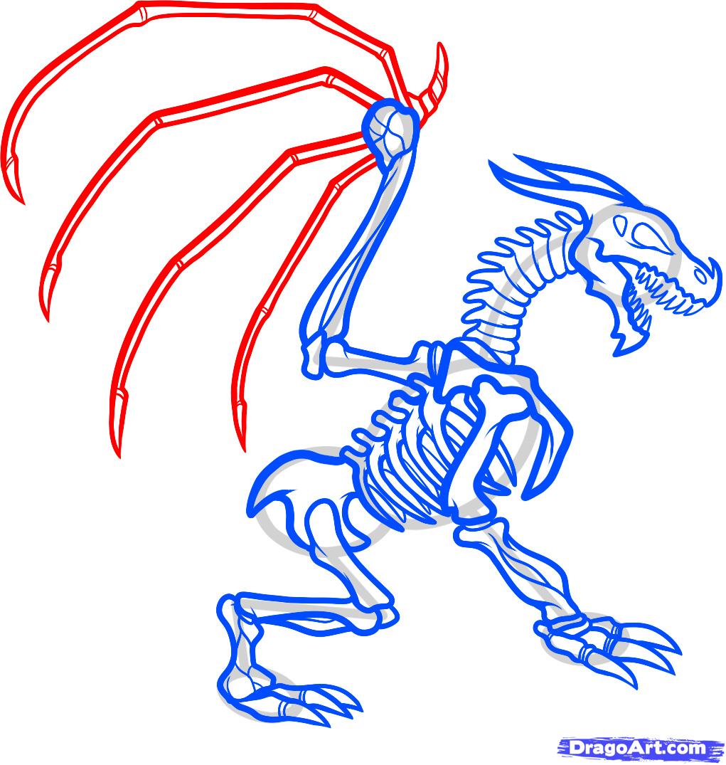 1021x1075 How To Draw A Dragon Skeleton, Dragon Skeleton Step 11 Drawing