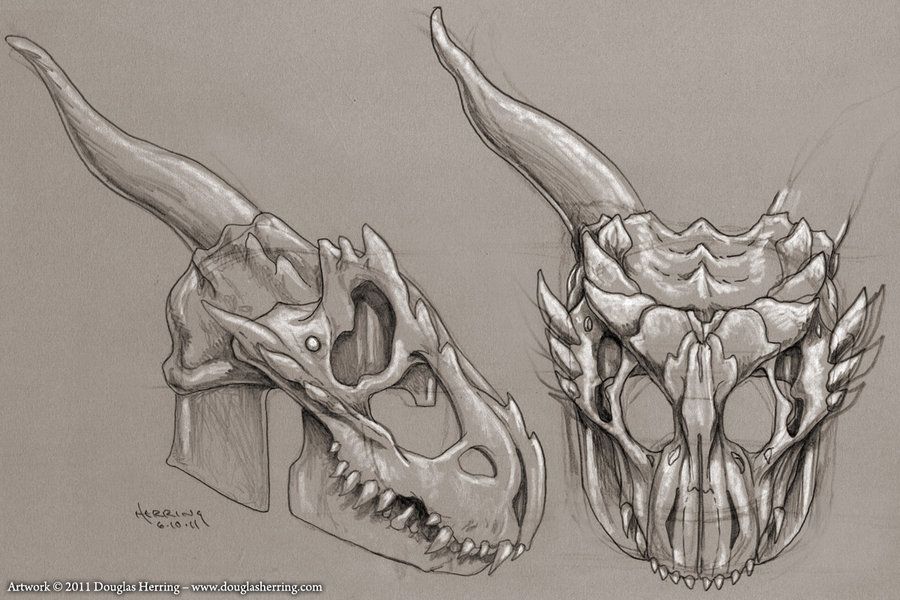 900x600 Dragonskull Helm Sketch 01 By Oberonsson I Like Skulls