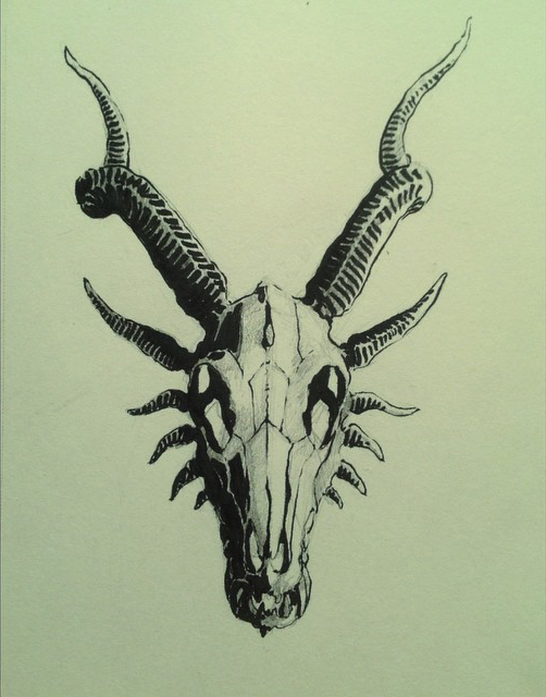 502x640 Skull Gardner Art And Stuff