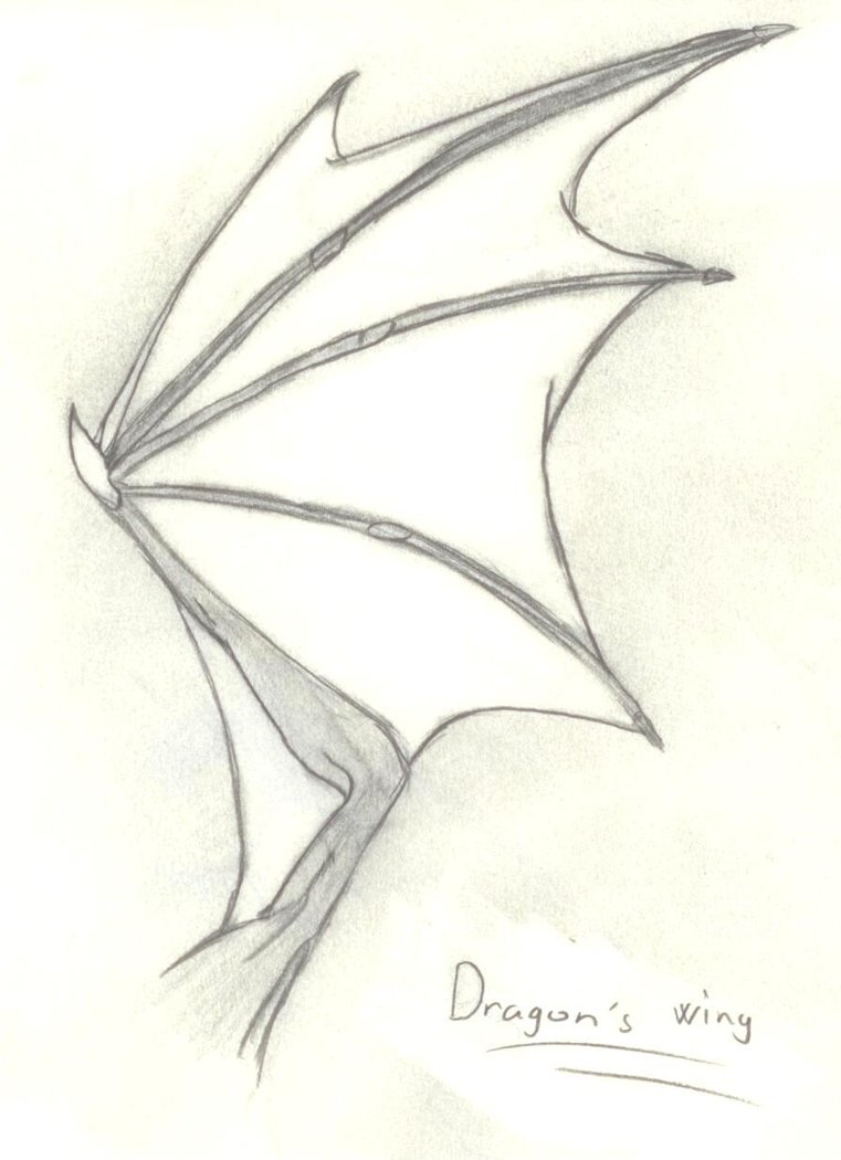 761x1050 Sketch Of A Dragon's Wing By Yetzir