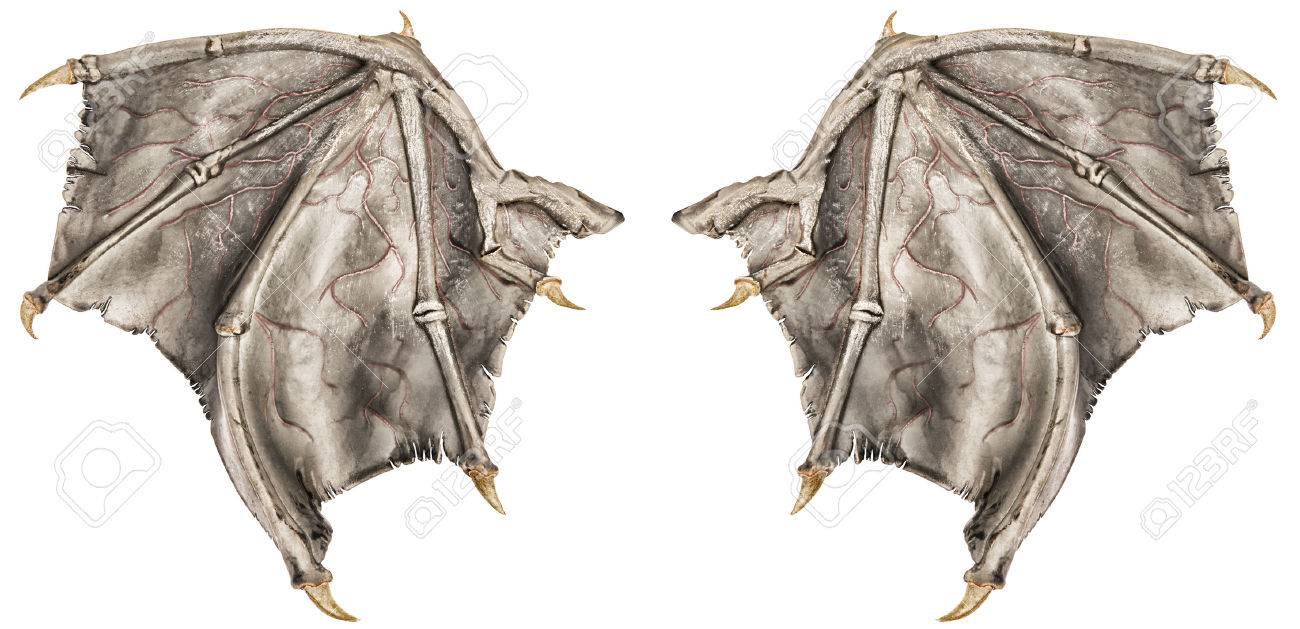 1300x629 Dragon Wings Stock Photos. Royalty Free Business Images