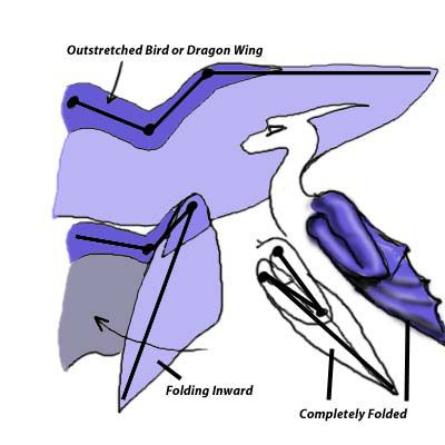400x400 How To Draw Folded Dragon Wings Folding Dragon Wings