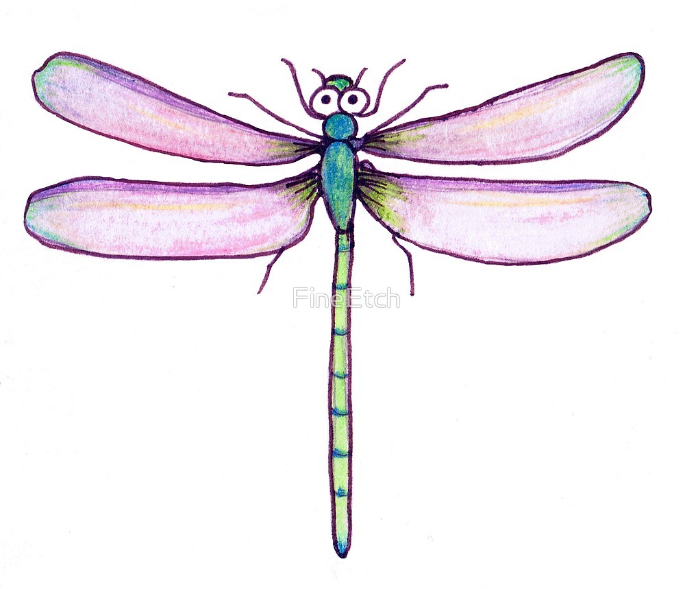 1000x859 Drawing Day Dragonfly By Fineetch Redbubble