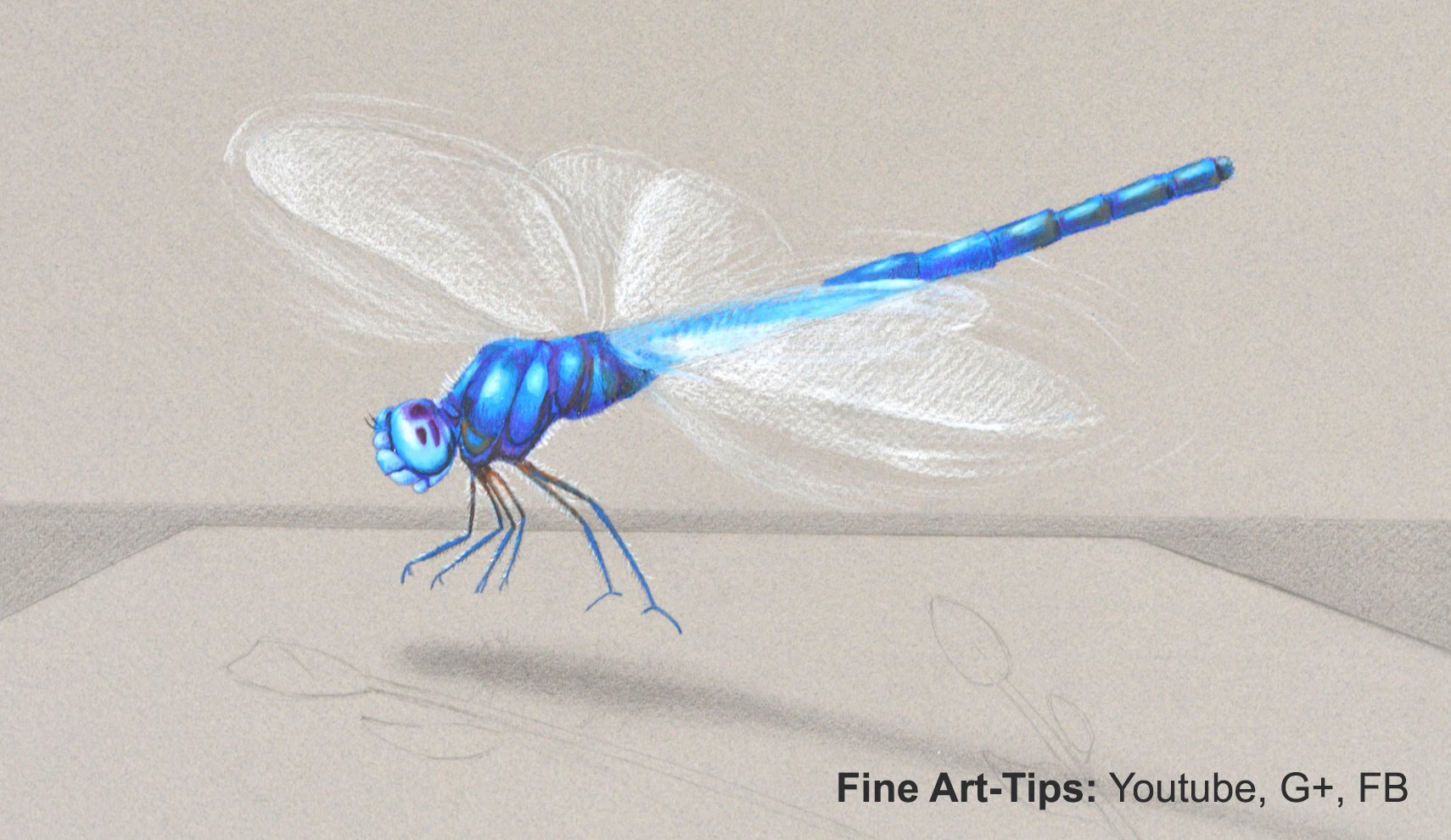 1710x990 How To Draw A Dragon Fly In 3d