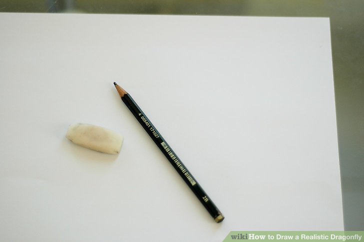 728x484 How To Draw A Realistic Dragonfly 8 Steps (With Pictures)