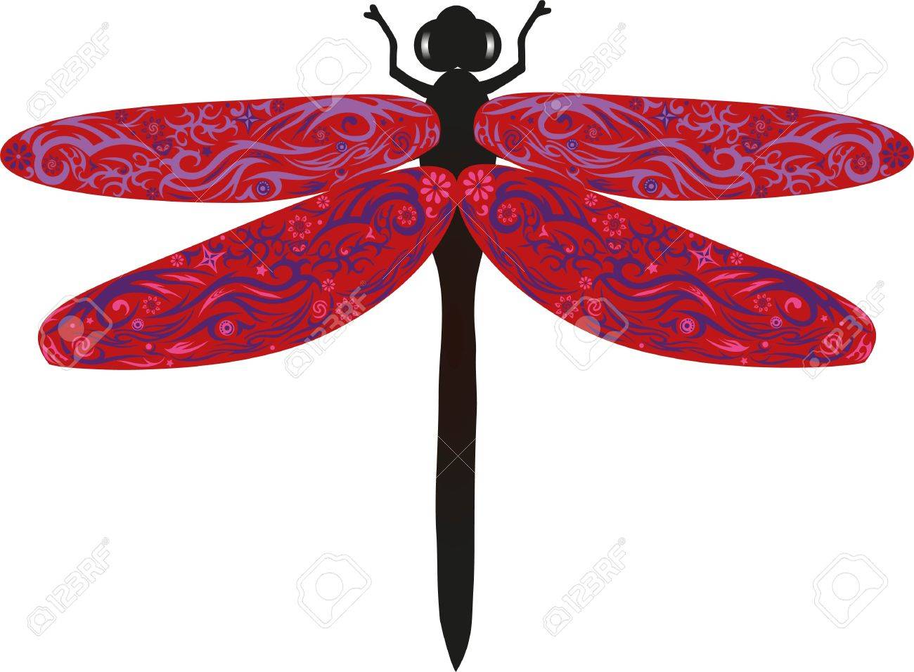 1300x957 Dragonfly With Wings, An Animal With Drawing, An Insect