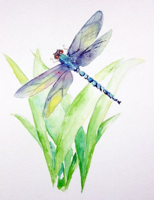500x647 Renardiere Dragonfly Watercolor Home Art Amp Craft