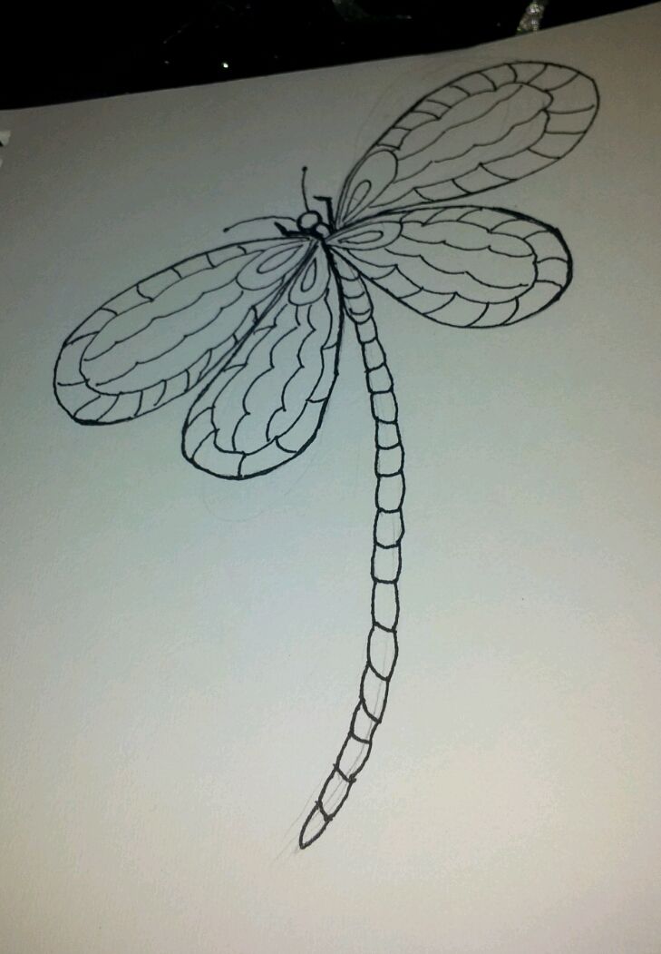 729x1051 Start Of My Dragonfly Drawing My Art Dragonfly