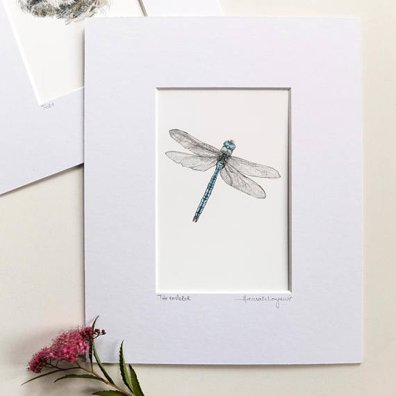 570x570 Print The Emperor Dragonfly Pencil Drawing