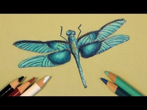 480x360 Dragonfly In Colored Pencil Tutorial