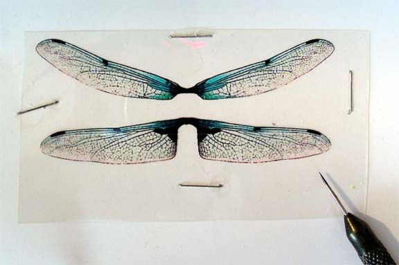 576x383 Dragonfly wings Wings Dragonflies