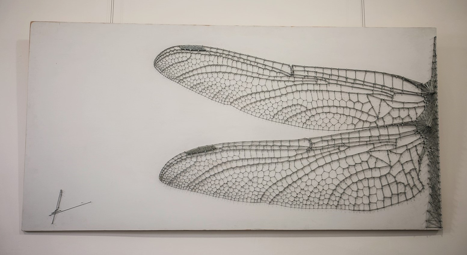 1553x849 Leo Cameron Felix Artist, Architect Dragonfly Wings