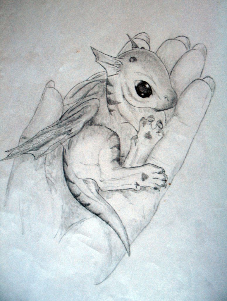 776x1029 Baby Dragon Drawing